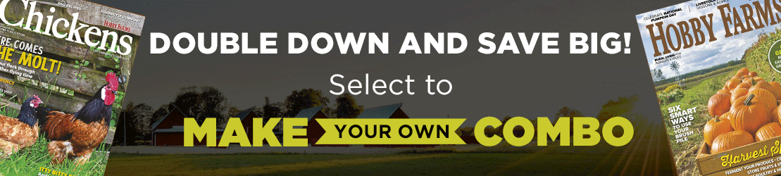 Responsive image