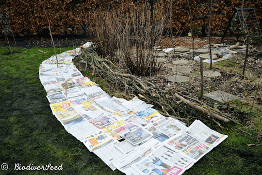 Improve Soil With Sheet Mulch - GIF by Lynsey Grosman (UrbanFarmOnline.com)