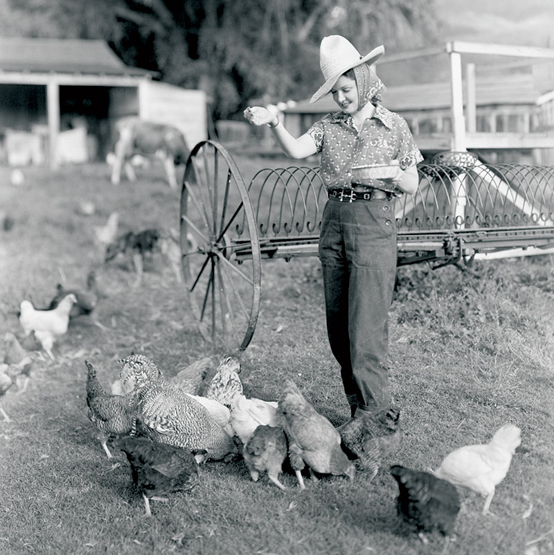 black and white photo of woman feeding chickens on a chicken farm