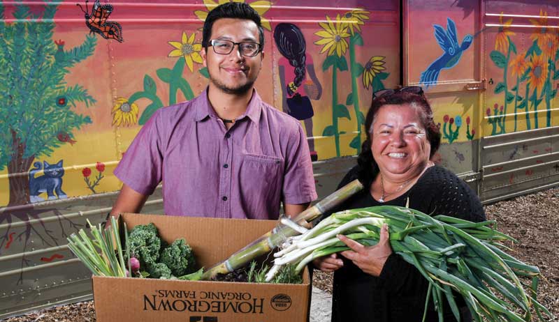 farm grant grants