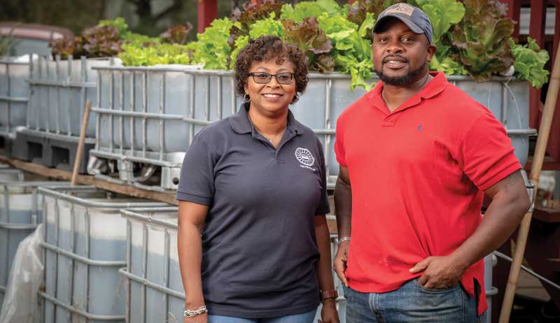 farm grant grants
