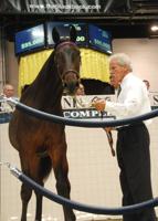 World's top Standardbred sale underway