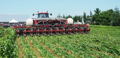 LF20190803-No-Till-6.jpg
