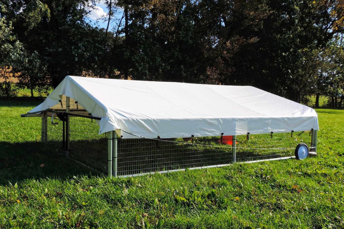 Chicken Coop - 12x12