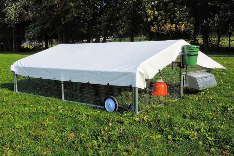 Chicken Coop - 10x12