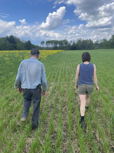 Regenerative (2).jpg