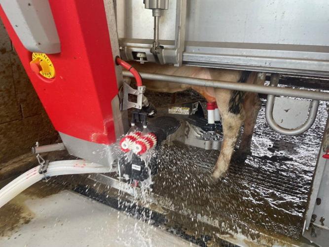 Meadowview Contamination_01.jpg