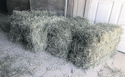 mh_1207 Hay bales.jpg