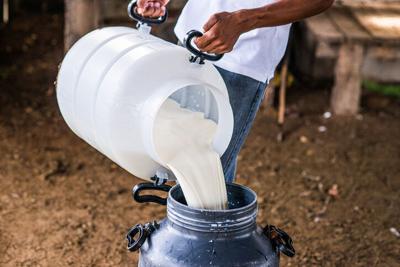 milk raw pour