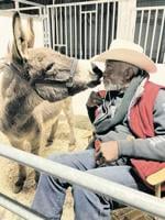 You Can Meet a Horse, of Course, at the PA Farm Show