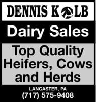Dairy Sales