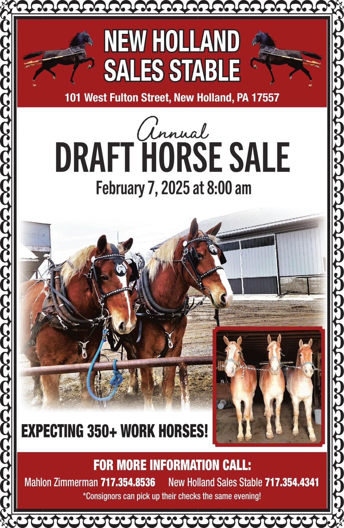 ANNUAL HORSE SALE - 2/7
