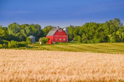 Red Farmhouse barn and fields