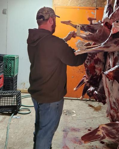 Game Commission Considering Grants for Deer Processors