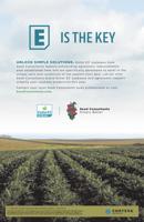 Seed Consultants