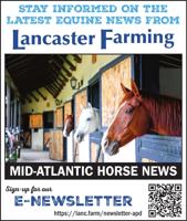 MAH E-NEWSLETTER SIGNUP