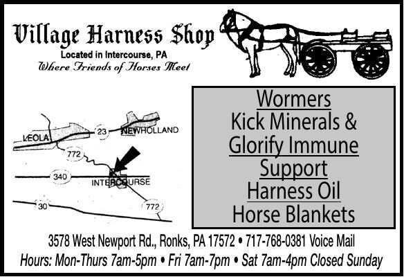 Wormers, Glorify, Harness Oil, Blankets