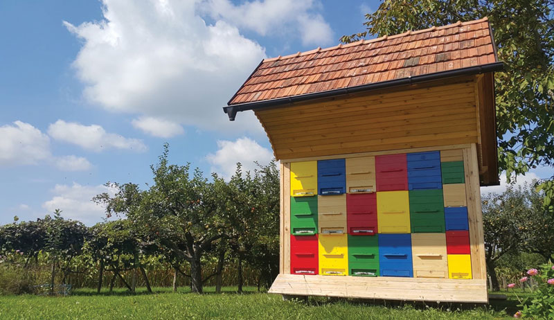 beehives beehive