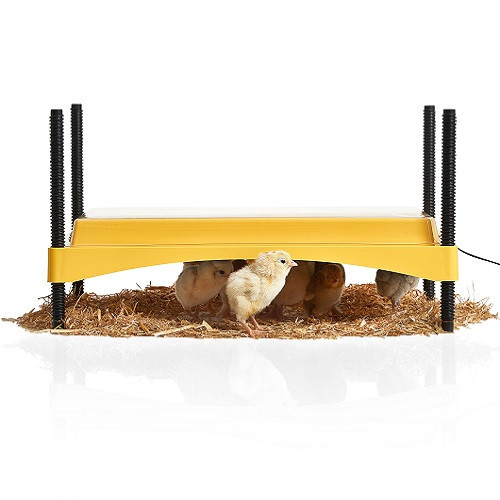 Brinsea  EcoGlow Safety 1200 Chick Brooder