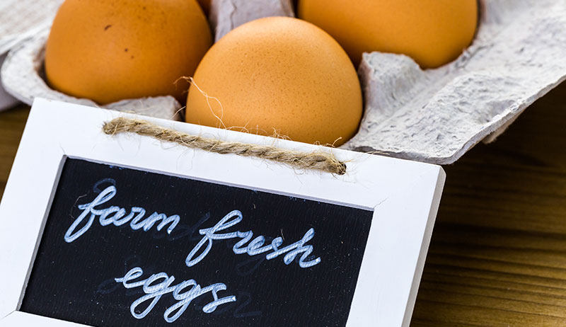 chicken ownership egg sales