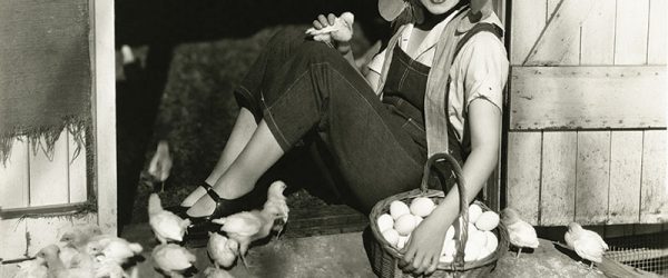 Chicken Farming: A Century of Backyard Chicken Keeping