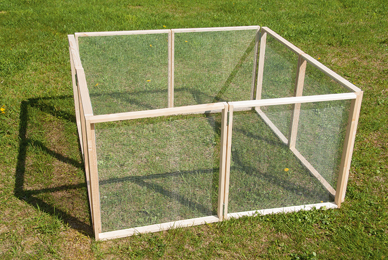 chicken run diy