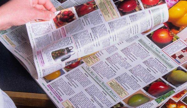 article-post
