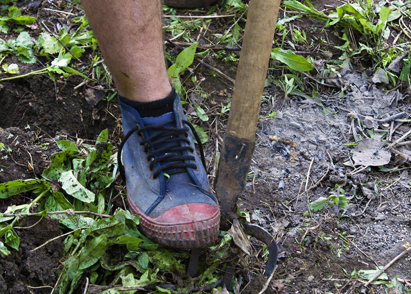 fall garden cleanup