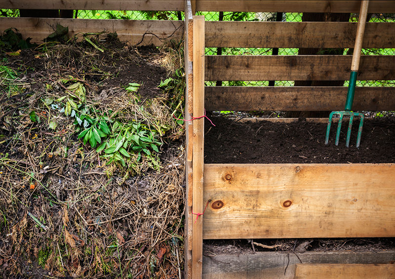 fall garden cleanup