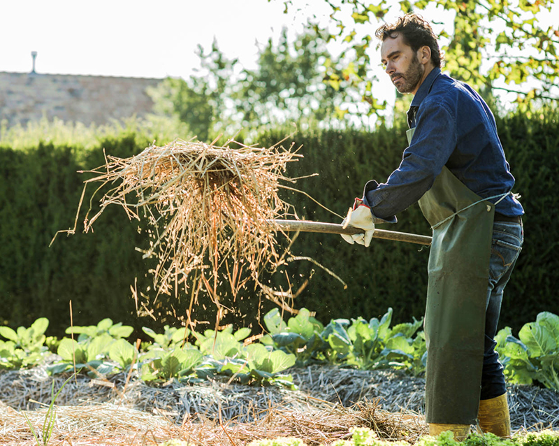 fall garden cleanup