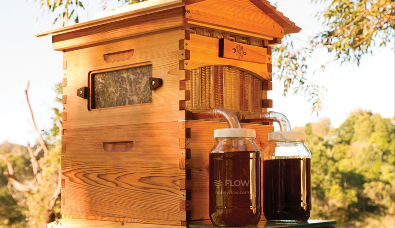 beehives beehive