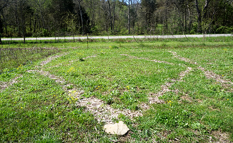 weeds weed cutter garden