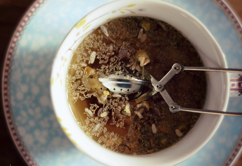 chamomile