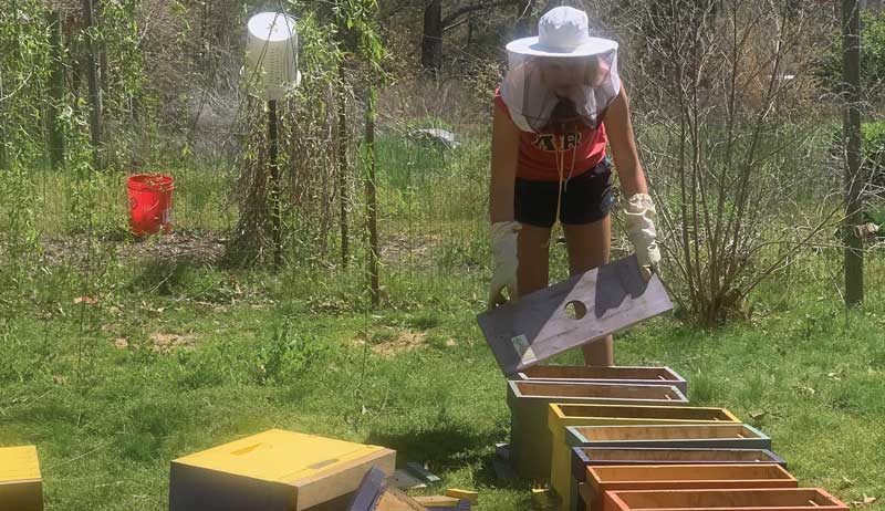 women beekeepers beekeeping