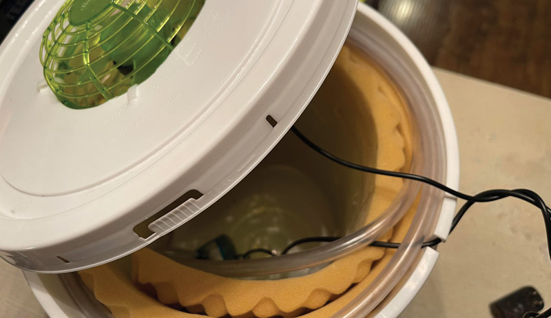 chicken chickens swamp cooler