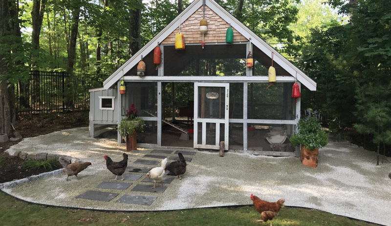 Best of Cluck