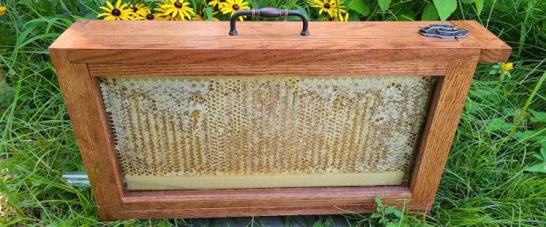 At Sassy Bee Honey, Micro Apiaries Are A Passion Project