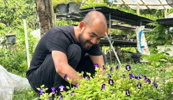 article-post