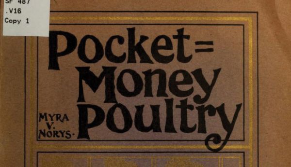 article-post