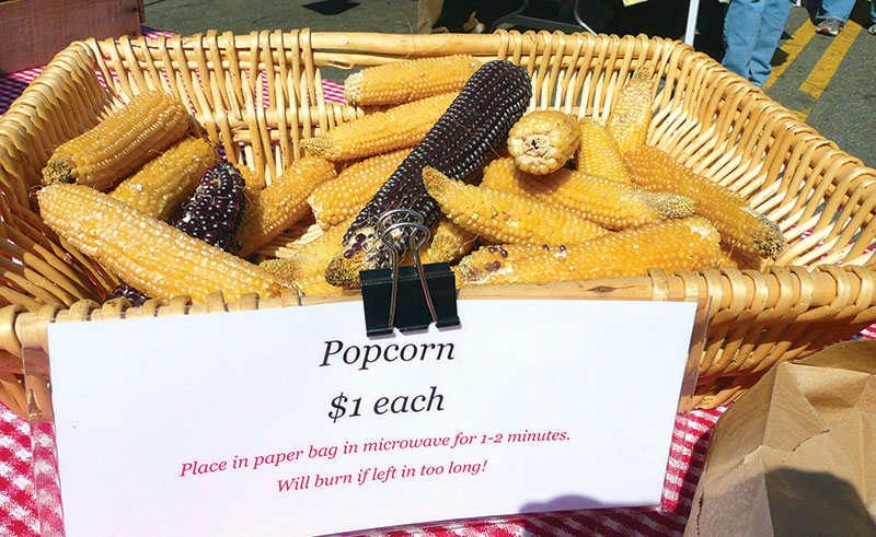 ears of white and dark popcorn for sale in a wicker basket