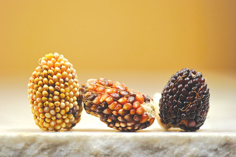 three popcorn indian berries sitting on granite table with a blurred background