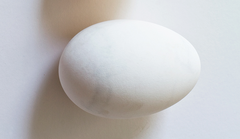 goose egg eggs