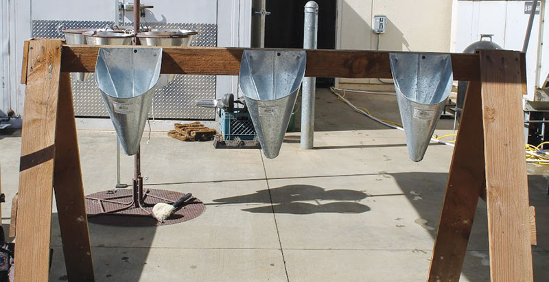 processing broilers chickens cones