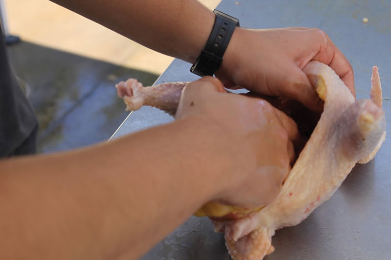 processing broilers chickens