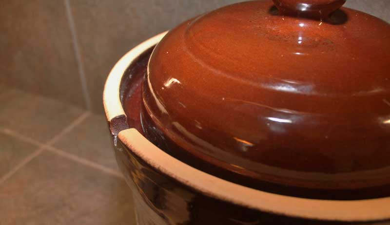 crock fermentation ferment