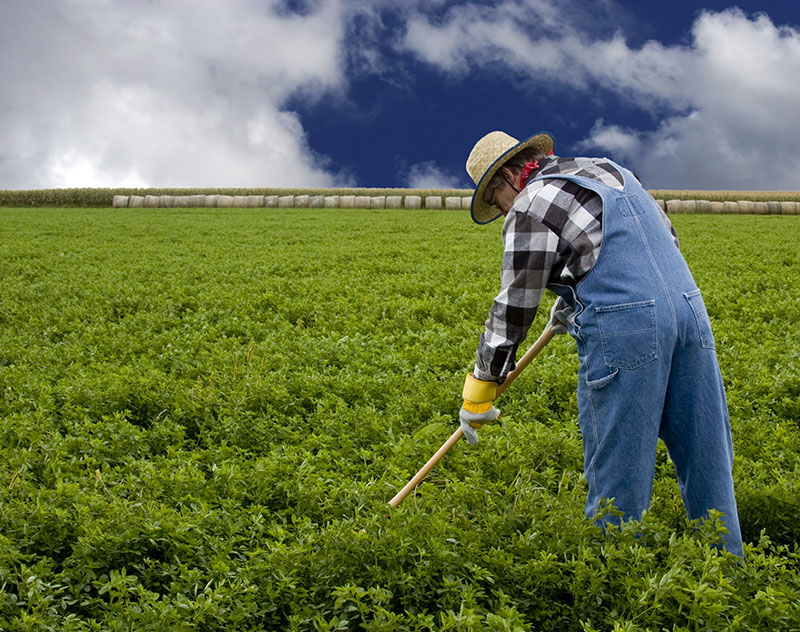 hobby farmers real