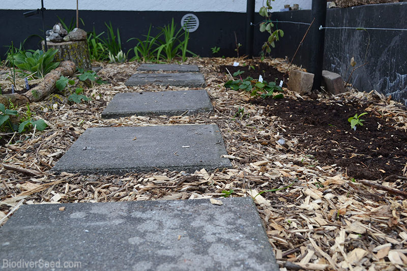 Improve Soil With Sheet Mulch - Photo by Lynsey Grosman (UrbanFarmOnline.com)
