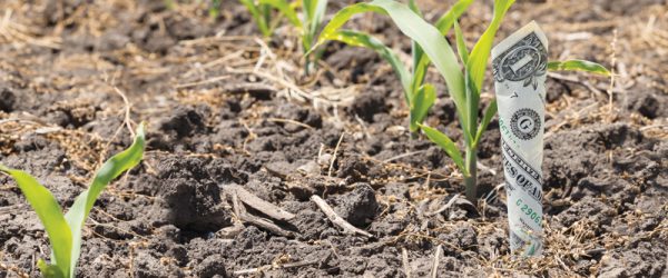 Small Farm Income Ideas: Side Hustles to Earn Extra Cash