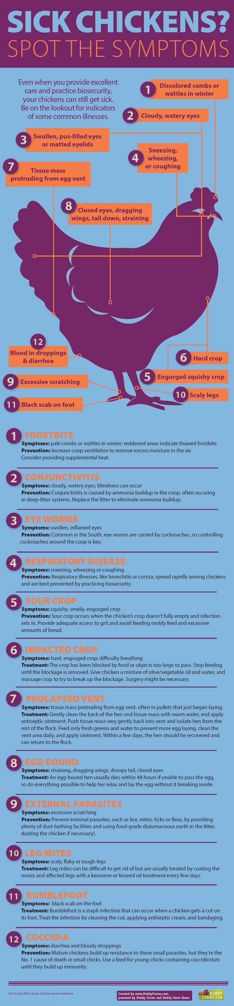 sick chicken infographic
