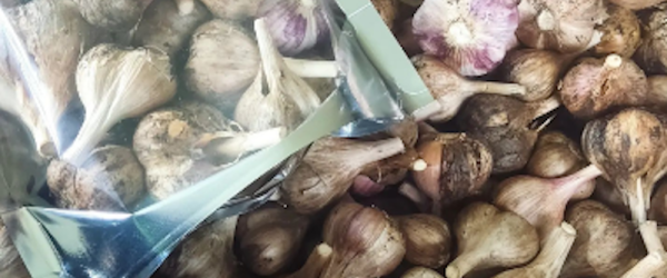 Latvian Garlic and Donkeys at Derryherbert Farm